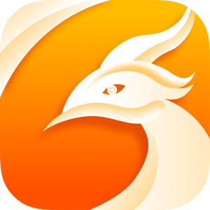 Download Phoenix Browser For Android